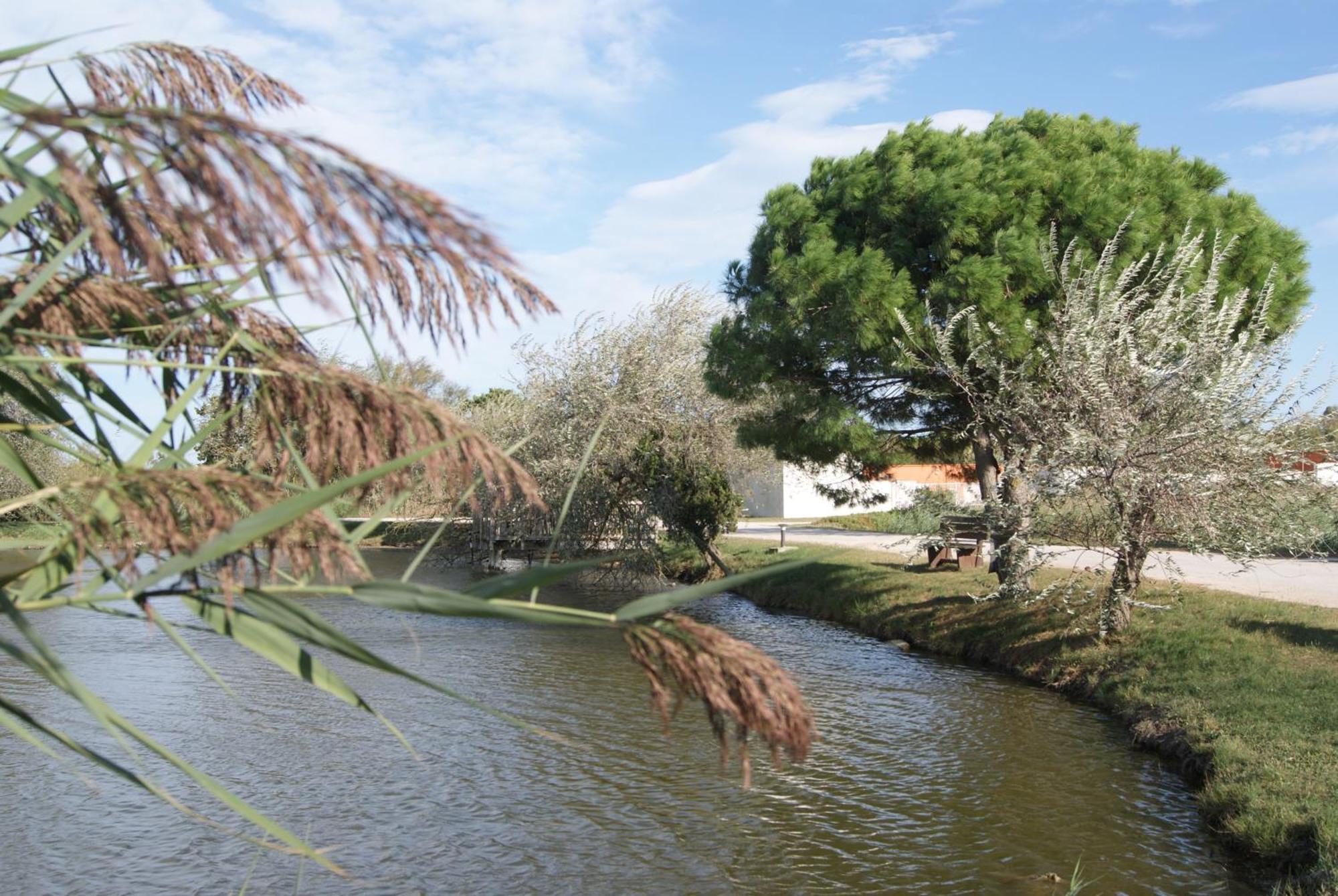 Les Rizieres Hotel Saintes-Maries-de-la-Mer Eksteriør billede