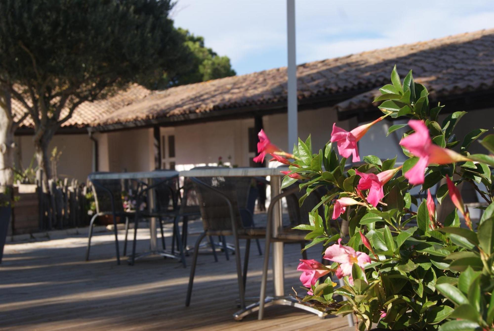 Les Rizieres Hotel Saintes-Maries-de-la-Mer Eksteriør billede